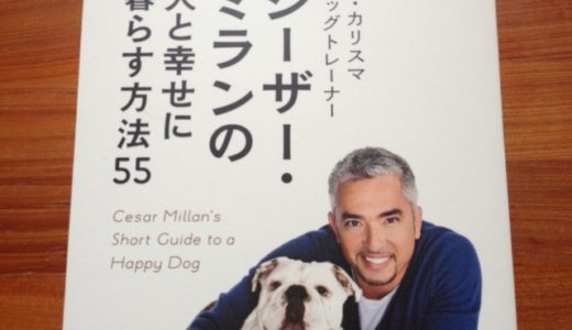 カリスマドッグトレーナーに学ぶ、犬と幸せに暮らすためのポイントと知っておくべき心得