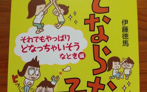 子育てはもっと楽しくなる！【書評】伊藤徳馬（著）『どならない子育て　それでもやっぱりどなっちゃいそうなとき編』Diacover21