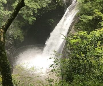 大釜の滝（日本の滝100選）【旅ログ】酷道を走った先にあったのは、雨で増水した泥水と濁流の滝でした