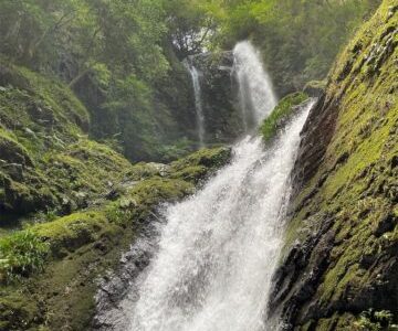 雨乞いの滝（日本の滝百選）【旅ログ】ハイキング感覚で複数の滝を楽しめ、しかも滝壺は別世界