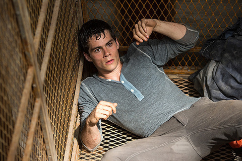 cast_mr_dylanobrien_large