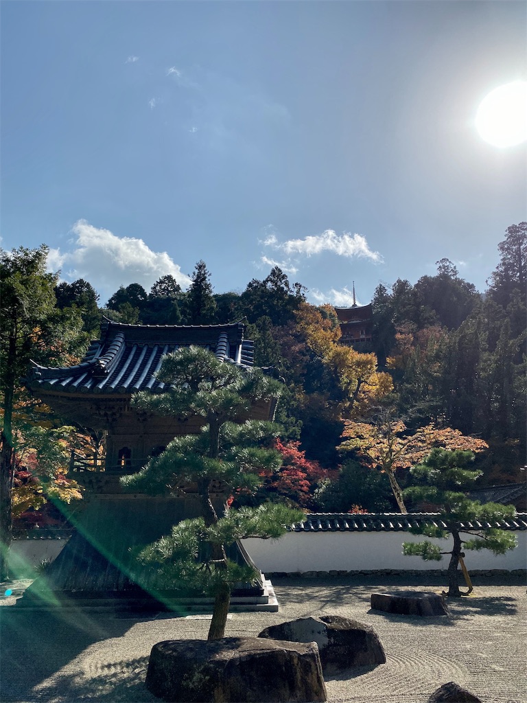 f:id:mypula_nao3:20191123215402j:image