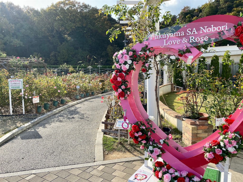 f:id:mypula_nao3:20191123215418j:image