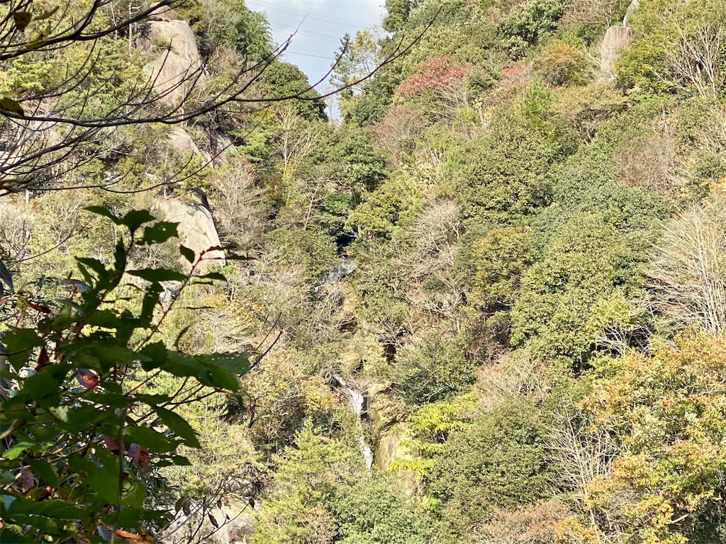 f:id:mypula_nao3:20191123215543j:image