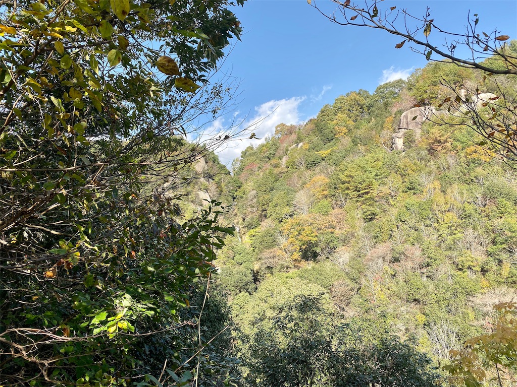 f:id:mypula_nao3:20191123215632j:image